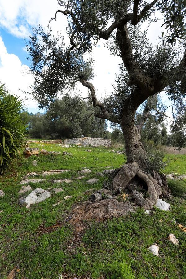 Gasthaus Casina Fumarola Ostuni Exterior foto